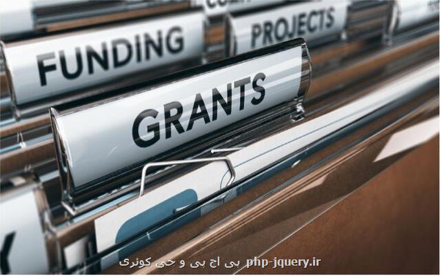 اعطای سالانه ۵ گرنت به شتابدهنده ها
