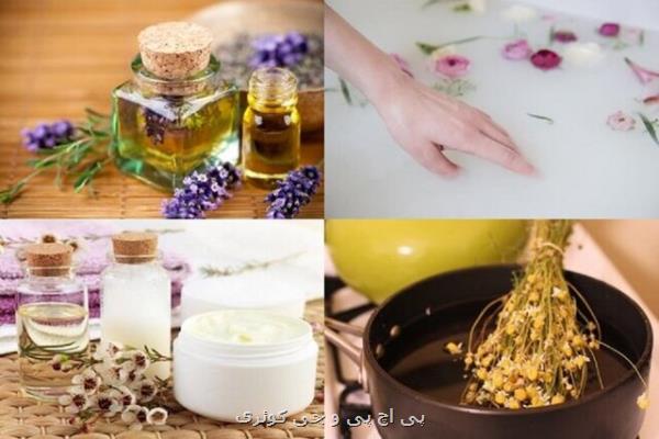 چالش های بازار ملی و جهانی گیاهان دارویی بررسی می شود