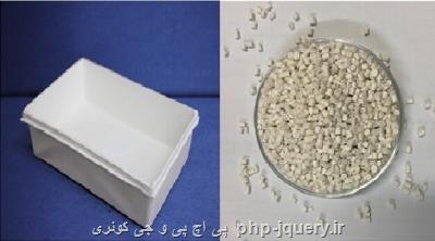 تولید ظروف یک بار مصرف کاملا زیست تخریب پذیر در کشور