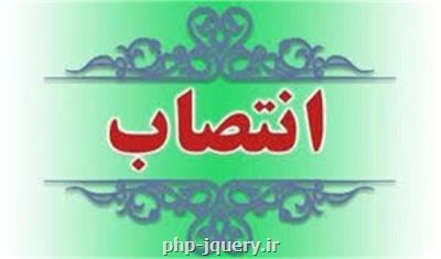 دو انتصاب معاون علمی رییس جمهوری در زمینه دانش بنیان ها