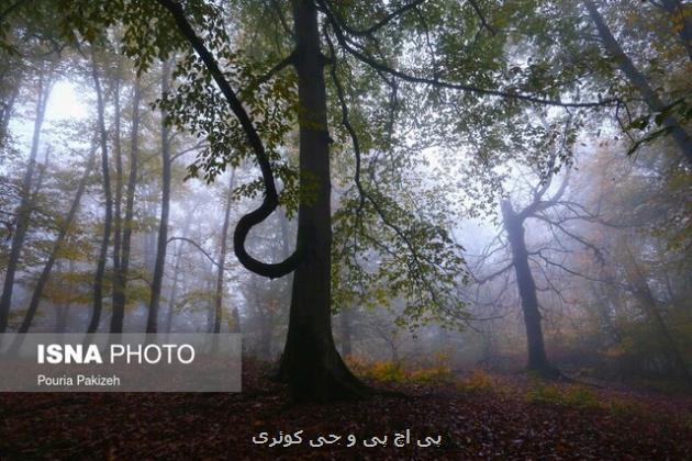 پایان اجرای پروژه شناسایی پتانسیل های ژئوتوریسم در استان گیلان