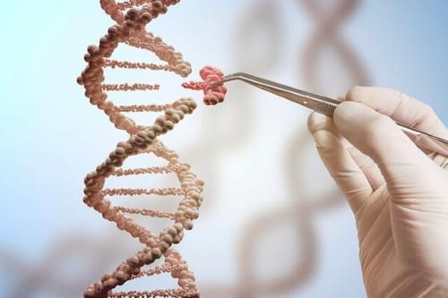 دانشگاه علوم پزشکی اهواز میزبان نخستین سمپوزیم بین المللی DNA