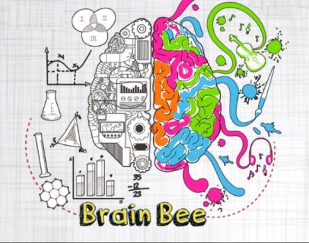 فردا دور نهایی مسابقه ملی دانش مغز برگزار می گردد