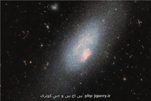 عکس روز ناسا از هم نشینی یک خرس با ستارگان بزرگ