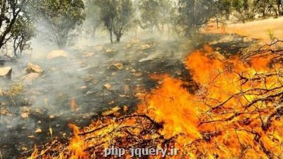 پیش بینی ماهواره ای از ریسك آتش سوزی زاگرس در هفته آینده