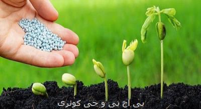 بخش كشاورزی فاقد فناوری مدیریت پایدار و افزایش راندمان است